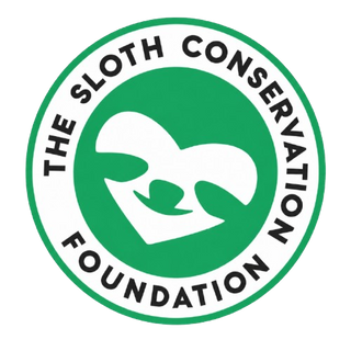 The Sloth Conservation Foundation